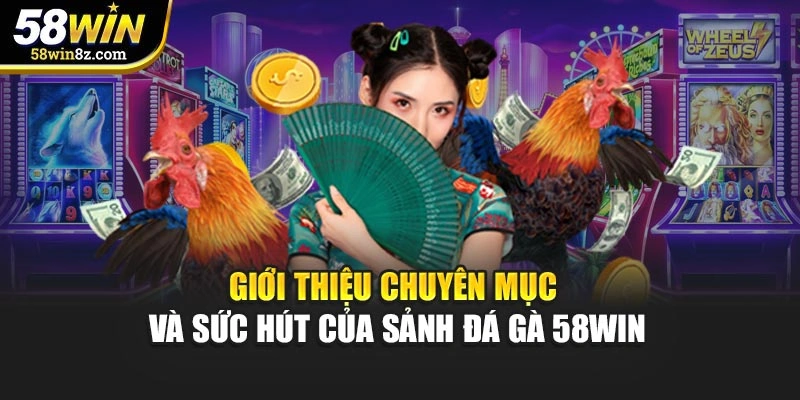 Giới thiệu chuyên mục và sức hút của sảnh đá gà 58win