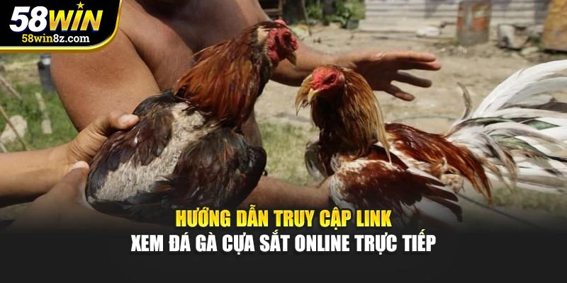 Hướng dẫn truy cập link xem đá gà cựa sắt online trực tiếp