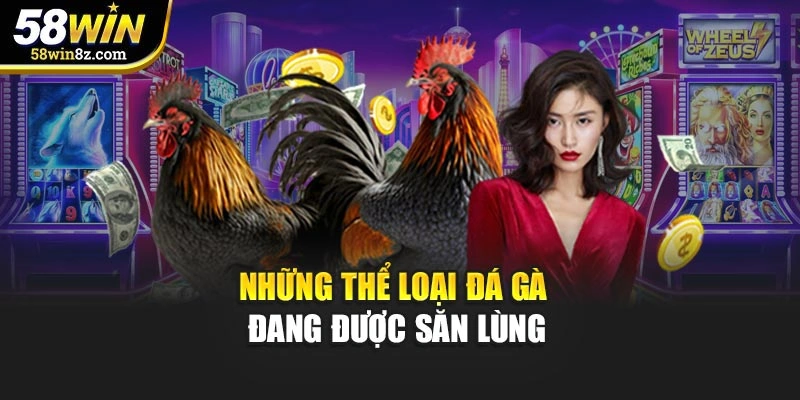 Những thể loại đá gà đang được săn lùng